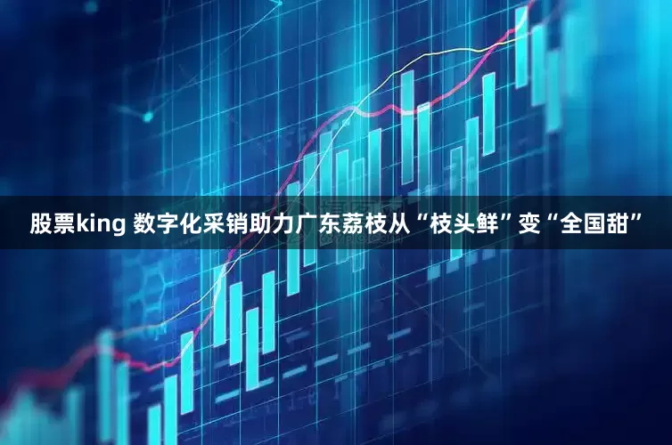 股票king 数字化采销助力广东荔枝从“枝头鲜”变“全国甜”