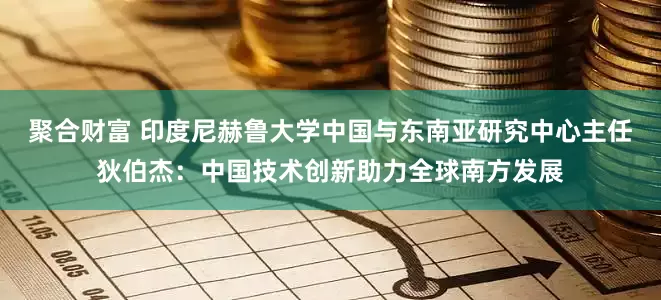 聚合财富 印度尼赫鲁大学中国与东南亚研究中心主任狄伯杰：中国技术创新助力全球南方发展