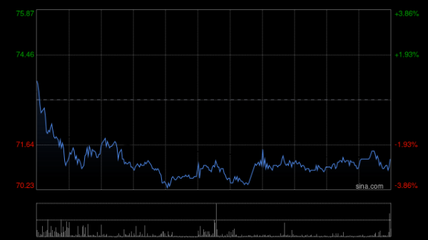 旺润配资 富瑞：升中国中免目标价至61.7港元 维持持有评级